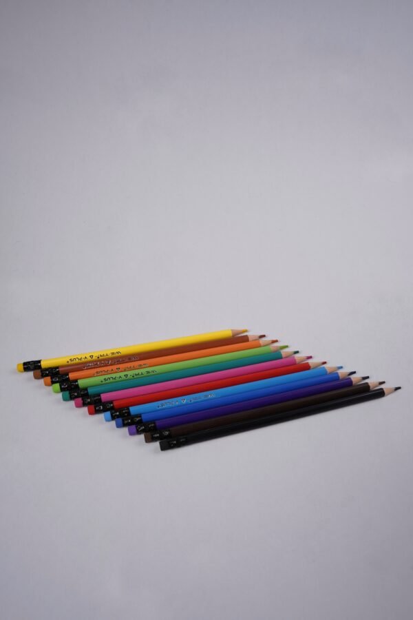 Y-PLUS Wooden Colors Roll – 12 Colors - Image 3