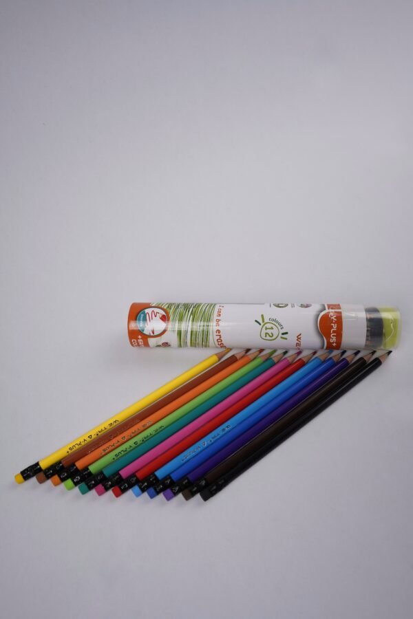 Y-PLUS Wooden Colors Roll – 12 Colors - Image 2
